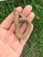 thumbnail_IMG_0364.jpg