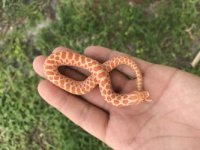 thumbnail_IMG_0371.jpg