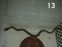 received_1145882785581347.jpg
