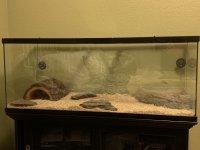 IMG_8117.jpg