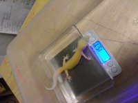 0902180132.jpg