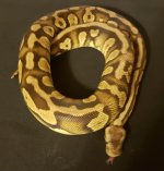 20181006_152551.jpg