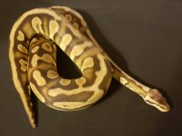 20181006_152613.jpg