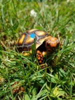 20180625_130609.jpg