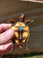 20180625_130641.jpg