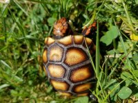 20180625_123222.jpg