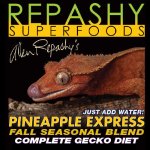 pineapple.jpg
