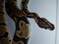 20180812_062826.jpg