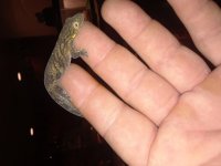 20180708_150840.jpg