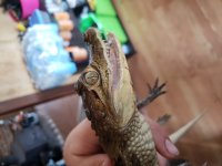 20180428_132743.jpg
