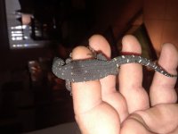 20180708_151036.jpg