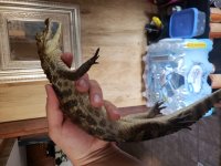 20180428_132753.jpg