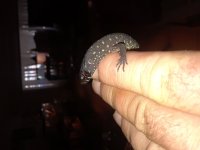 20180708_151045.jpg