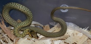 20180814_074618.jpg