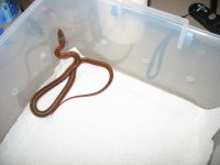 IMG_1077.jpg