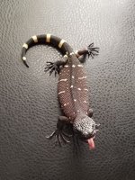 FCAE6B52-2568-4B3E-BCE4-83940AE7F779.jpg