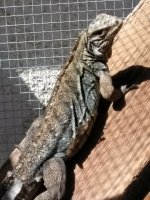 IMG_20180315_115058.jpg