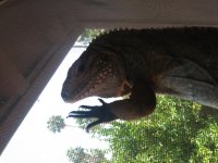 20180812_122652.jpg