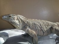 20180925_163800.jpg