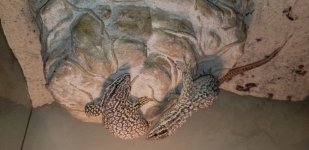 20180517_104822.jpg