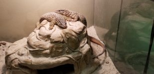 20180517_104724.jpg