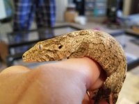 20180413_093944.jpg