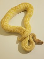 Pastel Crystal.jpg