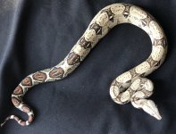 7F84BB39-5D60-4D79-9DC1-09AAB3C1D0E5.jpg