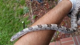 20180707_161958.jpg
