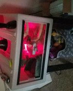 20180722_165518.jpg