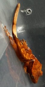 DSCF8163.jpg