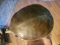 20180708_154521.jpg