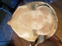 20180708_154530.jpg