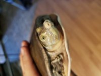 20180708_154536.jpg