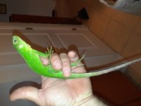 20180901_194548.jpg