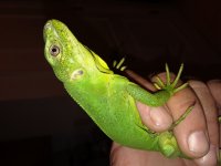 20180901_194607.jpg