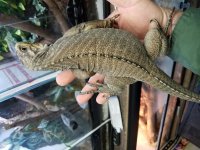 20180714_122355.jpg