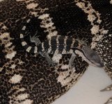IMG_20180606_122342~2.jpg