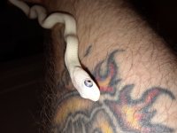 20180901_185311.jpg