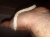 20180901_185251.jpg