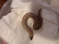 20180901_190036.jpg