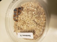 20181019_213845.jpg