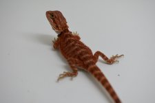 27AE5340-FD22-46DC-B966-BE30B4C6DF10.jpg