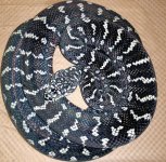 rps20180801_212718.jpg