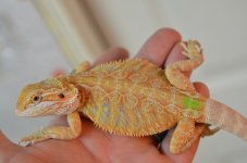 DSC_2573.jpg