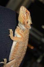 IMG_9429.jpg
