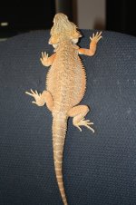 IMG_9428.jpg