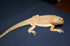IMG_9426.jpg
