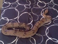 IMG_20101222_115624.jpg