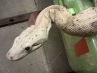 IMG_20101226_230043.jpg